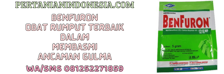 benfuron,obat,rumput,obat rumput,herbisida